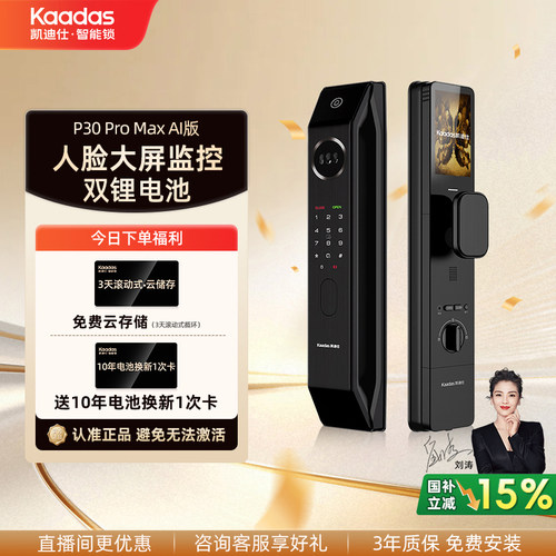 凯迪仕P30ProMaxAI版