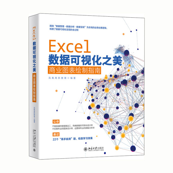 正版现货直发 Excel数据可视化之美：商业图表绘制指南9787301319413 北京大学出版社