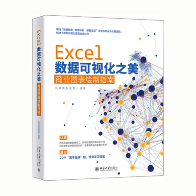 正版现货直发 Excel数据可视化之美：商业图表绘制指南9787301319413 北京大学出版社