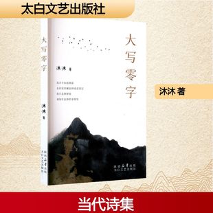 現代 大寫零字 當代文學 著 沐沐 太白文藝出版 社