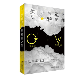 现货北大正版 失足于两颗星星之间 巴略霍诗选 塞萨尔巴略霍 北京大学出版社 9787301349632