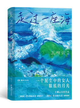 走过一座海 王柳云正式自传 亲述底层女性的自我实现之旅 一个泥尘中的女人眼底的月光9787574603301