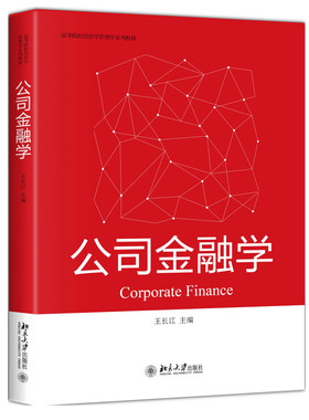 现货正版直发 公司金融学 王长江著 高等院校经济学管理学系列教材 北京大学出版社北京大学出版社
