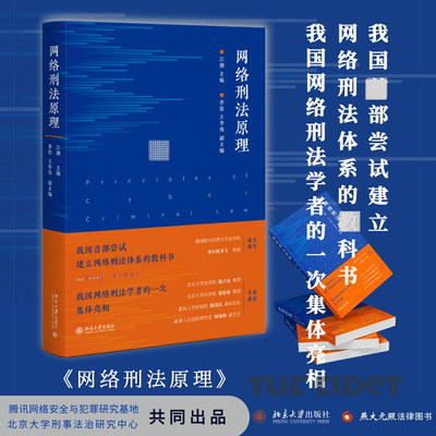 现货正版直发  网络刑法原理 江溯 北京大学出版社 9787301329764