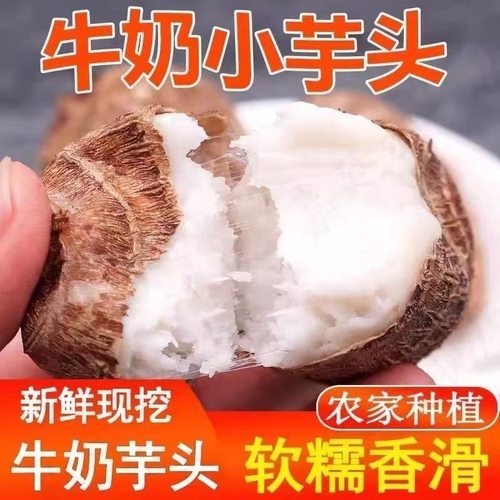 江西特产牛奶小芋头新鲜现挖红芽毛芋头奶油芋艿鲜蔬菜竽头小香芋