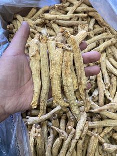 太极参东洋参30支高丽参可顿可泡代切片