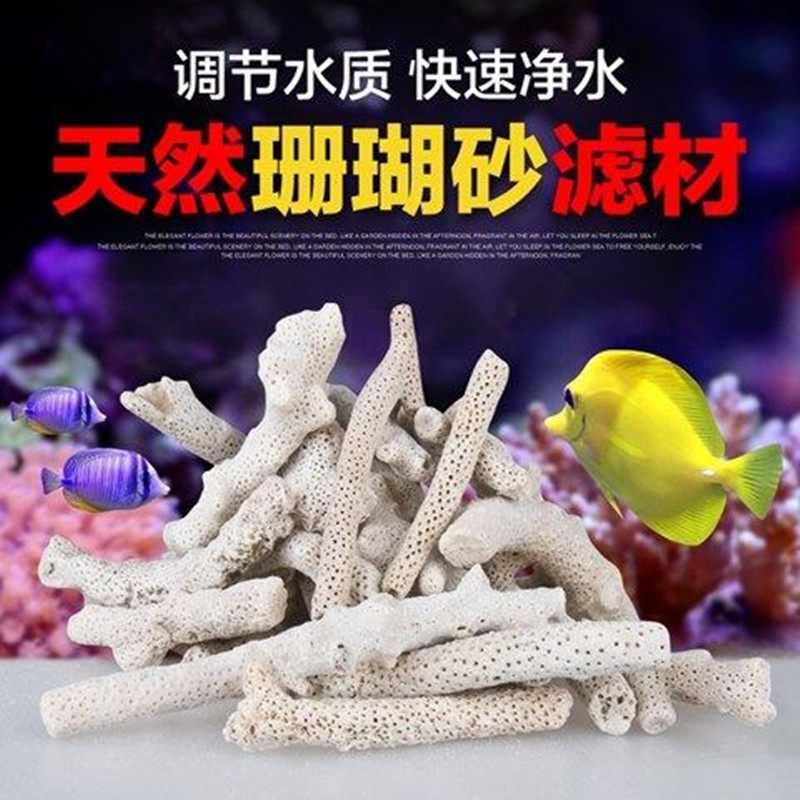 优质珊瑚沙 珊瑚石 底砂碎珊瑚砂 鱼缸滤材 珊瑚骨过滤材料
