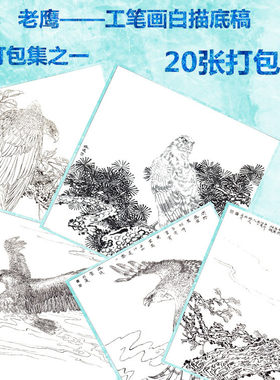 工笔画白描底稿飞禽老鹰动物画稿