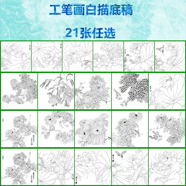 中国工笔画白描底稿花鸟适合初学者练习线条临摹过稿用16张任选,家居饰品,国画,淘宝优惠券,粉丝福利购,淘宝优惠卷