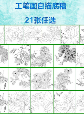 白描底稿花鸟适合初学者练习线条