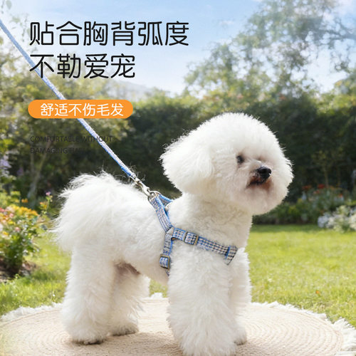 狗狗牵引绳中小型犬Y字型胸背带