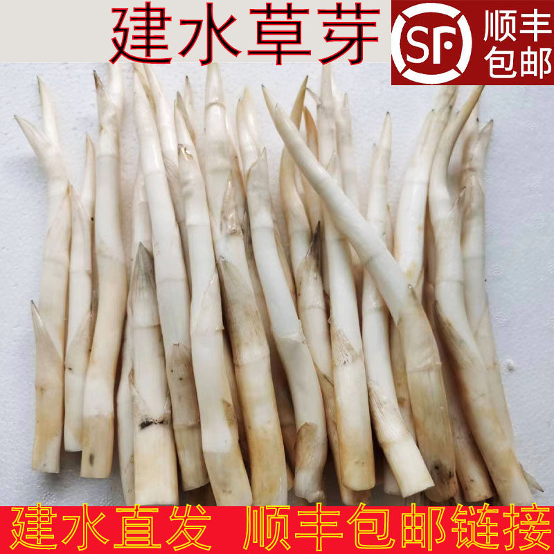 云南建水特产草芽象牙菜新鲜蔬菜建水草芽顺丰包邮专拍链接