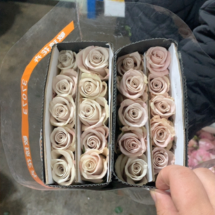 B级曼塔10支不 包邮