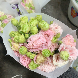 肉粉桔梗600克不 包邮