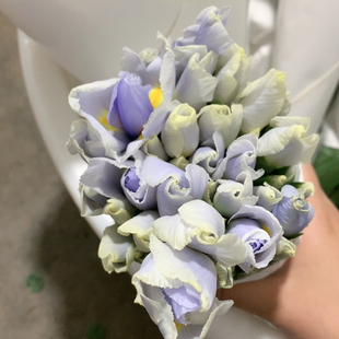 鸢尾浅紫色10支不 包邮