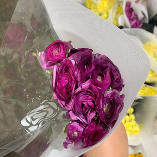 包邮 北小曼卢贝尔洋牡丹9 10支不