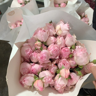 B级多头莫妮卡戴维10支不 包邮