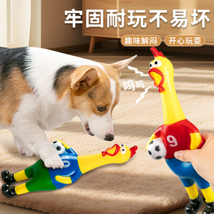 尖叫鸡惨叫鸡发声音玩具解闷减压捏捏乐儿童宠物耐咬大号怪叫撕咬