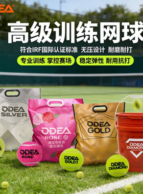 欧帝尔ODEA网球GOLD训练球高弹耐打DD3 DD2 DD8比赛球蓝罐passion