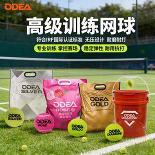 欧帝尔ODEA网球GOLD训练球高弹耐打DD3 DD2 DD8比赛球蓝罐passion