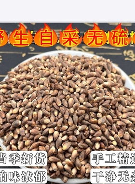 野生侧柏籽正宗无硫柏树籽侧柏树种子侧柏果乌发助眠枕头填充散装