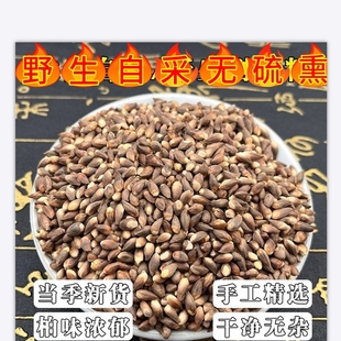 野生侧柏籽正宗无硫柏树籽侧柏树种子侧柏果乌发助眠枕头填充散装