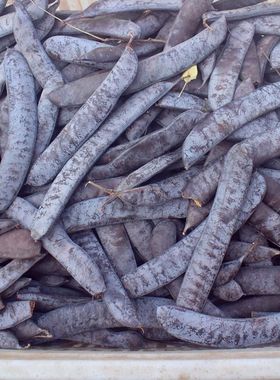 皂角纯天然25年新鲜干货大皂角皂荚洗头泡水煮水大皂角正品中药材