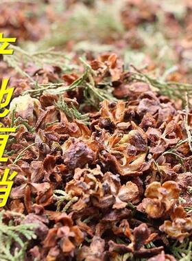 野生侧柏壳黑发枕头填充白发少白头柏树壳柏籽壳天然草本柏壳枕头