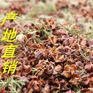 野生侧柏壳黑发枕头填充白发少白头柏树壳柏籽壳天然草本柏壳枕头