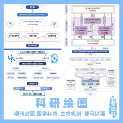 科研绘图技术路线图ppt流程图示意SCI期刊封面3d建模机制生物医学