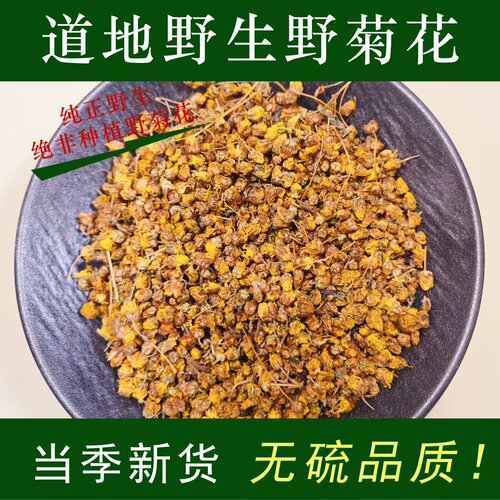 非亳州野菊花湖北野菊花