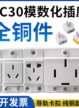 AC30-10530模数化电源插座5孔多功能五孔二三插配电箱导轨插座10A
