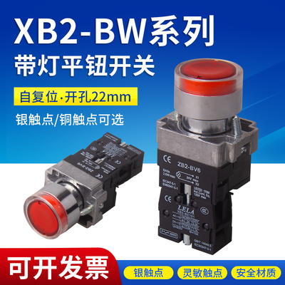 带灯平头开关按钮开关