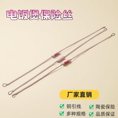 电饭锅煲温度保险丝保险管