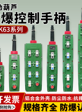 防爆电动葫芦控制手柄新黎明BAK63-3/5/7/9操作手柄按钮开关CT4