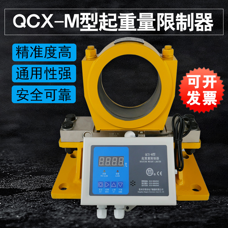 起重量限制器QCX-M QCX-2B型仪表显示屏双梁起重机MB 3B