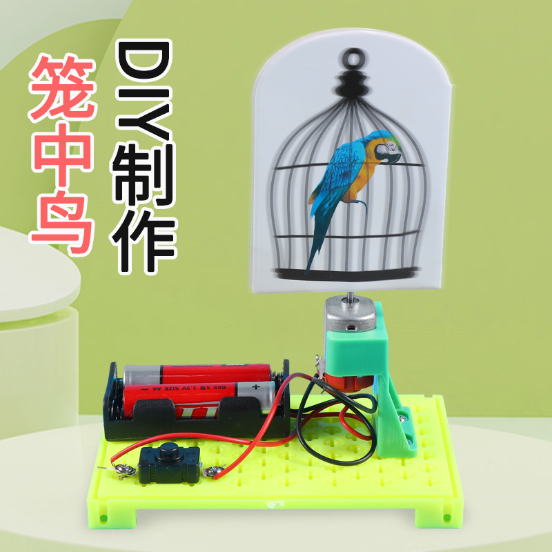 恩其物理实验电动笼中鸟