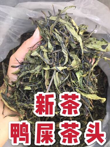 雪片茶头凤凰单枞清香鸭屎香茶头