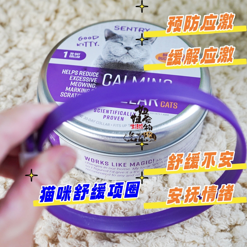 猫用镇静安抚项圈舒缓安定