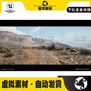 UE5虚幻5写实扫描高原贫瘠山脉地貌灌木丛岩石土路环境场景3D模型