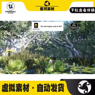 UE4虚幻5森林沼泽栖息地湿地干旱树木灌木林灌木植物场景3D模型