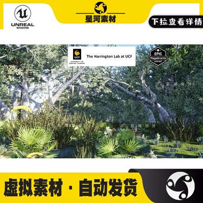 UE4虚幻5森林沼泽栖息地湿地干旱树木灌木林灌木植物场景3D模型