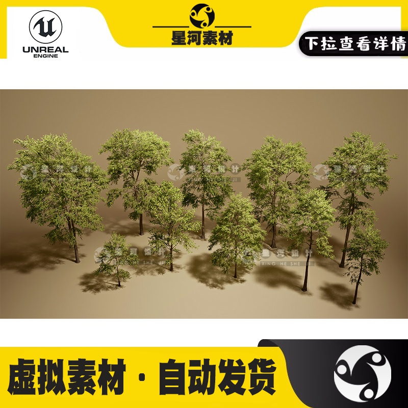 UE5虚幻5写实逼真森林白荆树白蜡树青榔木树木桦树道具3D模型资产