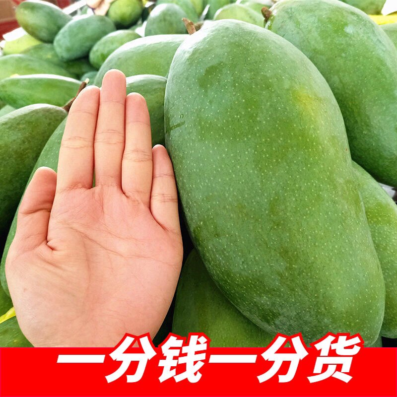 【大芒果】越南进口大青芒超大号芒果新鲜热带水果甜蜜无丝无纤维