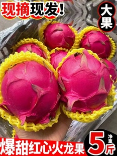 火龙果红心广西金都一号5斤大果当季燕窝果麒麟果新鲜采摘发货