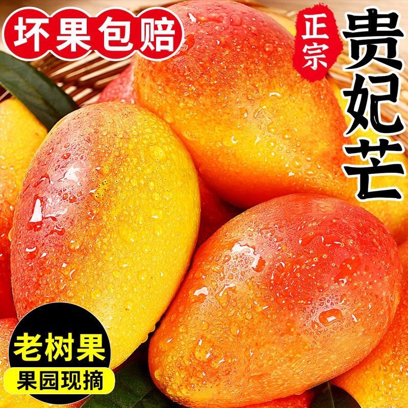 正宗海南贵妃芒红金龙1/3/5/9斤皮薄核薄肉厚甜蜜多汁新鲜芒果