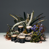 无烟蜡烛香薰精油杯礼物室内香氛 经典 大豆蜡情侣 即视现象 ASUCH