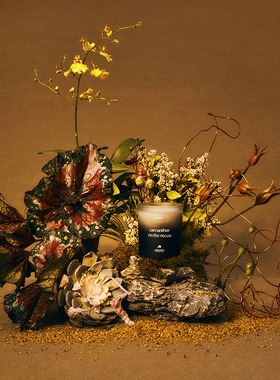 ASUCH 真实纯粹桂花味月中寻桂无烟香薰蜡烛精油杯大豆蜡礼物情侣