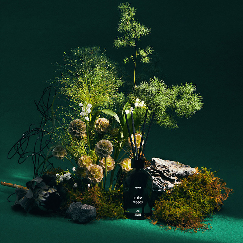 ASUCH苔藓客厅下过雨的青草 