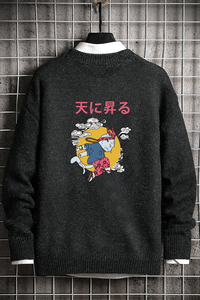 电商A040A-M19012-P45 毛衣男图片